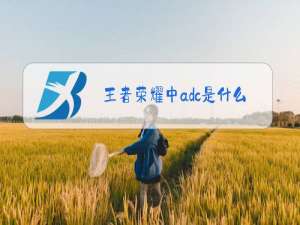 王者荣耀中adc是什么意思