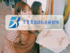 王者荣耀战队能解散吗