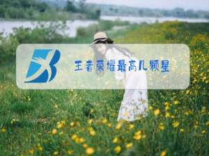 王者荣耀最高几颗星