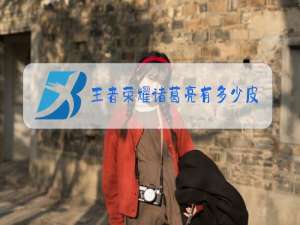 王者荣耀诸葛亮有多少皮肤