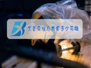 王者荣耀总共有多少英雄包括艾琳