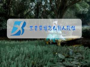 王者荣耀怎么别人段位