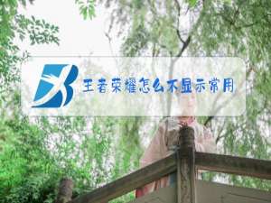 王者荣耀怎么不显示常用职业