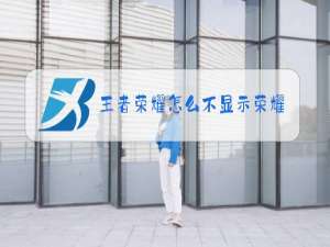 王者荣耀怎么不显示荣耀排名