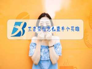 王者荣耀怎么查单个英雄排行