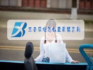 王者荣耀怎么查看禁言剩余时间