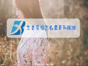 王者荣耀怎么查看私服排行
