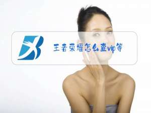王者荣耀怎么查vip等级