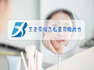 王者荣耀怎么查英雄战力表现分