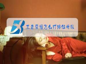 王者荣耀怎么打排位升级
