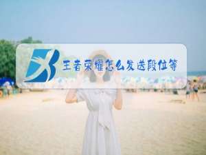 王者荣耀怎么发送段位等级