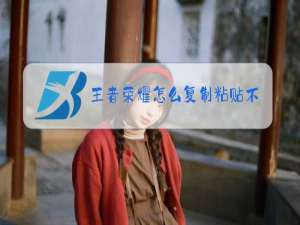 王者荣耀怎么复制粘贴不了