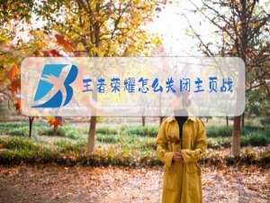 王者荣耀怎么关闭主页战区显示