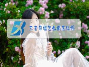 王者荣耀怎么搞区级标