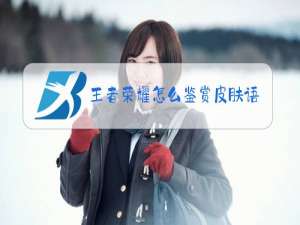 王者荣耀怎么鉴赏皮肤语音