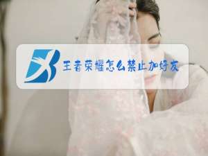 王者荣耀怎么禁止加好友