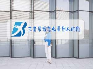 王者荣耀怎么看别人的段位图标