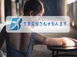 王者荣耀怎么卡别人名字