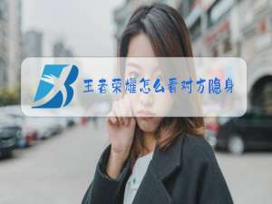 王者荣耀怎么看对方隐身