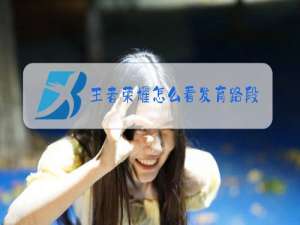 王者荣耀怎么看发育路段位排名