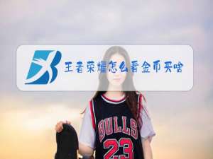 王者荣耀怎么看金币买啥了