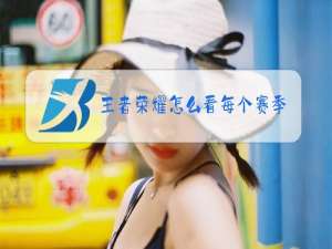 王者荣耀怎么看每个赛季