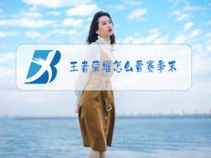 王者荣耀怎么看赛季末