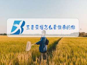 王者荣耀怎么看谁杀的你
