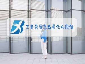 王者荣耀怎么看他人段位