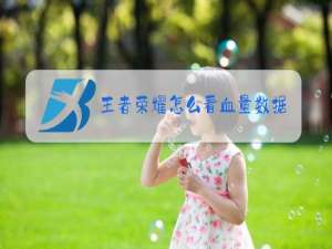 王者荣耀怎么看血量数据