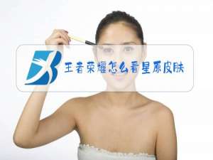 王者荣耀怎么看星原皮肤海报