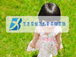 王者荣耀怎么看英雄百强