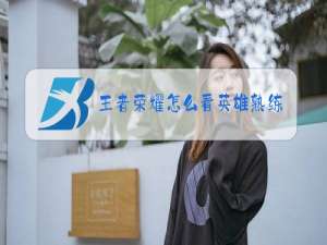 王者荣耀怎么看英雄省级战力排名