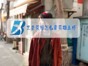 王者荣耀怎么看英雄上榜的分数