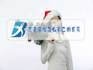 王者荣耀怎么看已拥有英雄