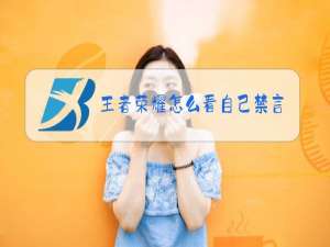 王者荣耀怎么看自己禁言多久