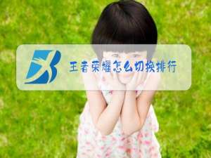 王者荣耀怎么切换排行