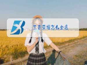 王者荣耀怎么全退