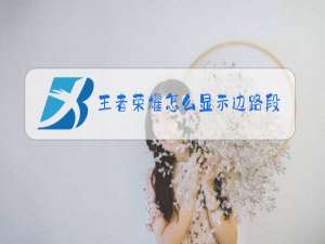 王者荣耀怎么显示边路段