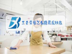 王者荣耀怎么隐藏皮肤数量显示