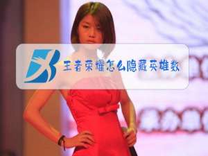 王者荣耀怎么隐藏英雄数量