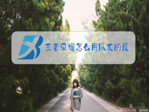 王者荣耀怎么用队友的皮肤