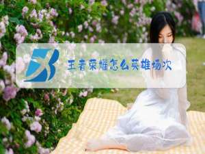 王者荣耀怎么英雄场次