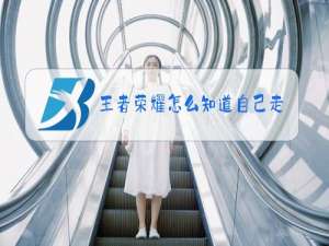 王者荣耀怎么知道自己走哪条路