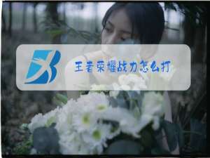 王者荣耀战力怎么打