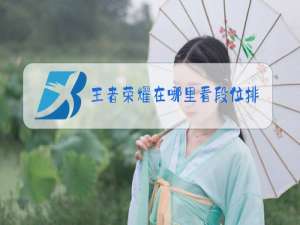 王者荣耀在哪里看段位排名