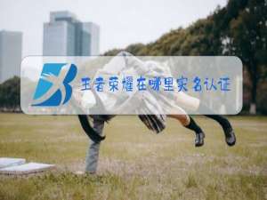 王者荣耀在哪里实名认证实名注册