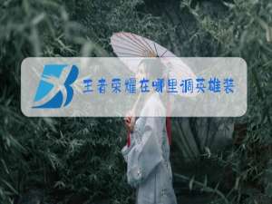 王者荣耀在哪里调英雄装备