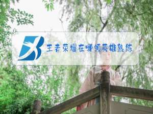 王者荣耀在哪领英雄熟练度