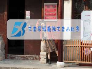 王者荣耀最强王者占比多少